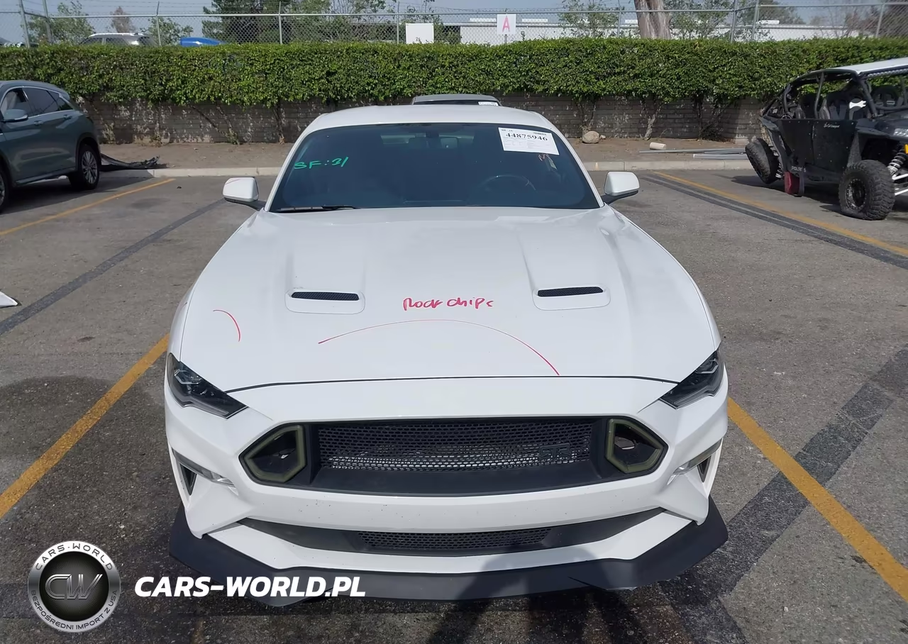 2020 Ford Mustang Gt Fastback VIN:1FA6P8CF1L5114297 - 12