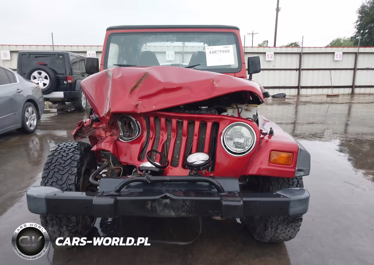 1999 Jeep Wrangler Sport VIN:1J4FY19S5XP491335 - 13
