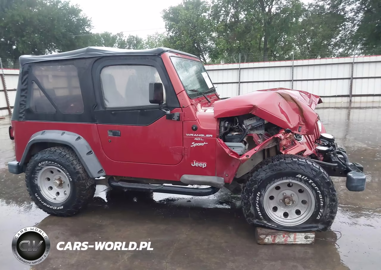 1999 Jeep Wrangler Sport VIN:1J4FY19S5XP491335 - 14