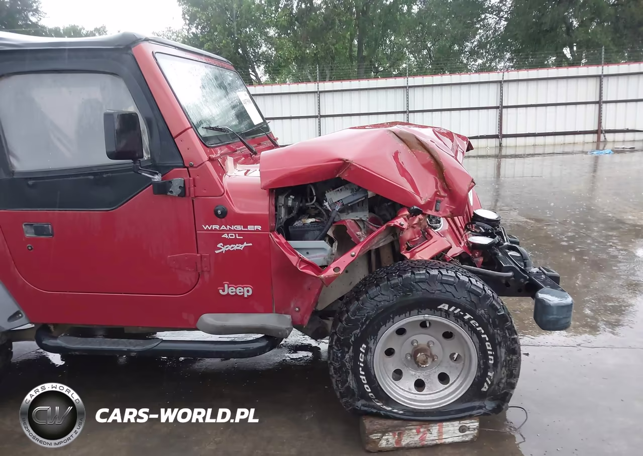 1999 Jeep Wrangler Sport VIN:1J4FY19S5XP491335 - 18