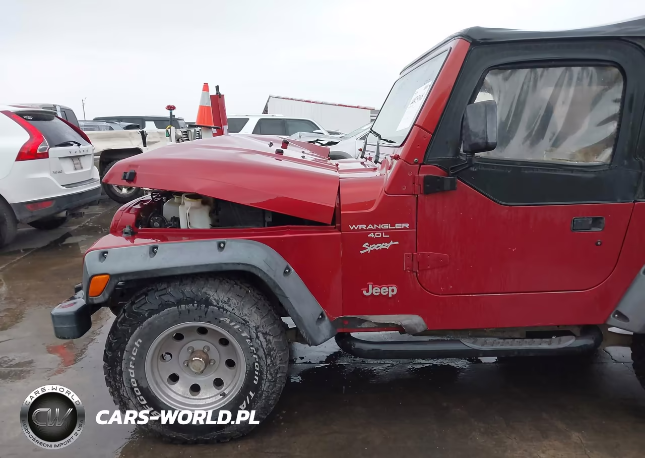 1999 Jeep Wrangler Sport VIN:1J4FY19S5XP491335 - 19
