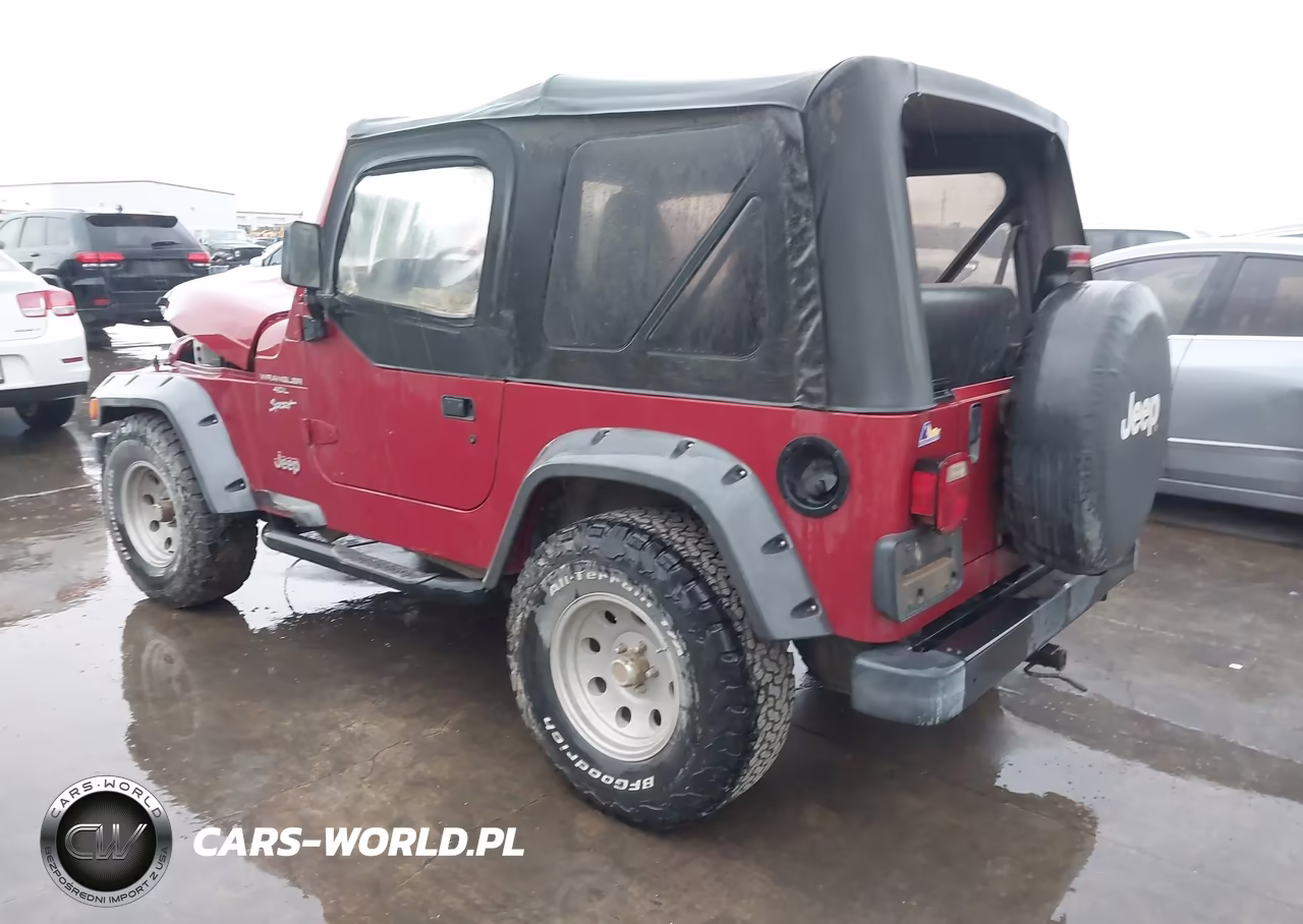 1999 Jeep Wrangler Sport VIN:1J4FY19S5XP491335 - 3