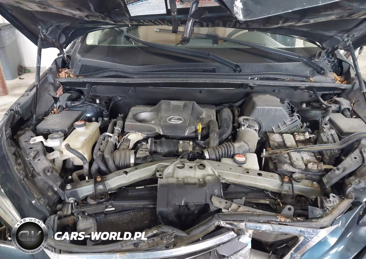 2015 Lexus Nx 200T VIN:JTJBARBZ8F2038219 - 10