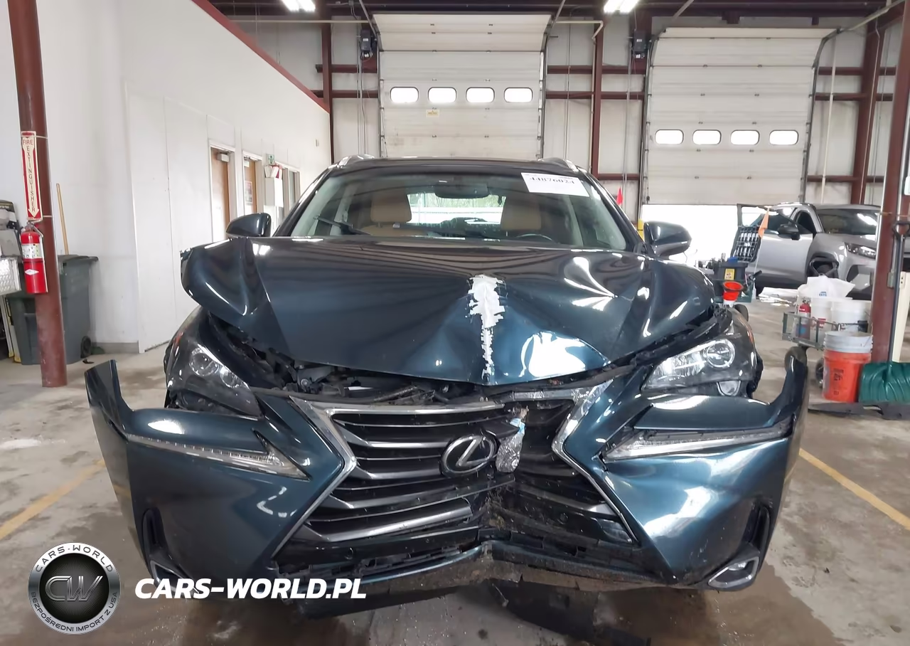 2015 Lexus Nx 200T VIN:JTJBARBZ8F2038219 - 11