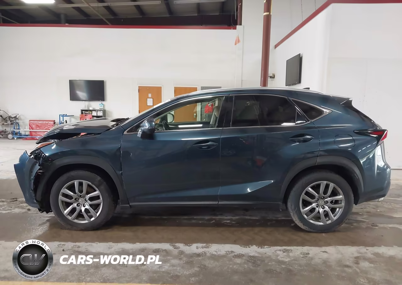 2015 Lexus Nx 200T VIN:JTJBARBZ8F2038219 - 13