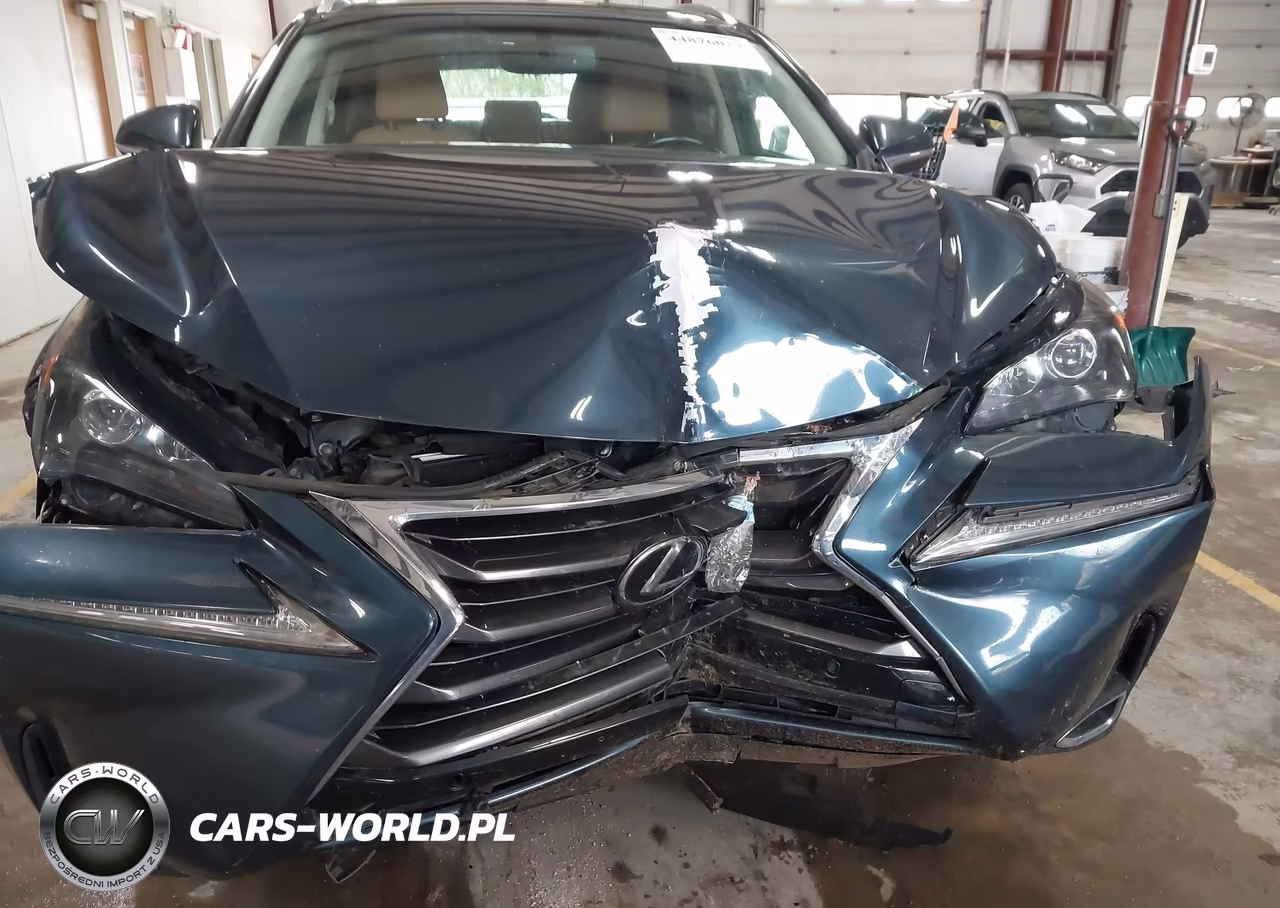 2015 Lexus Nx 200T VIN:JTJBARBZ8F2038219 - 16