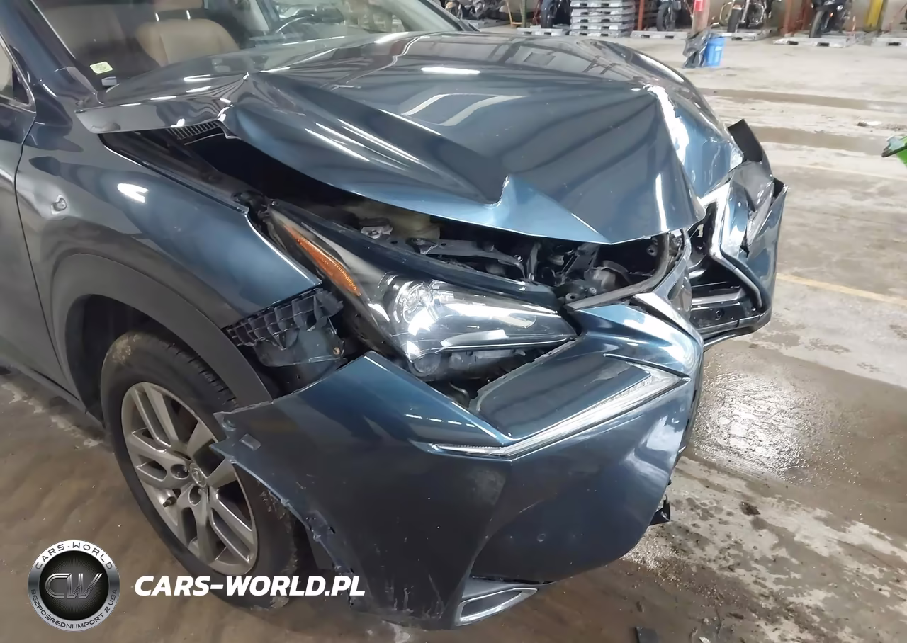2015 Lexus Nx 200T VIN:JTJBARBZ8F2038219 - 6