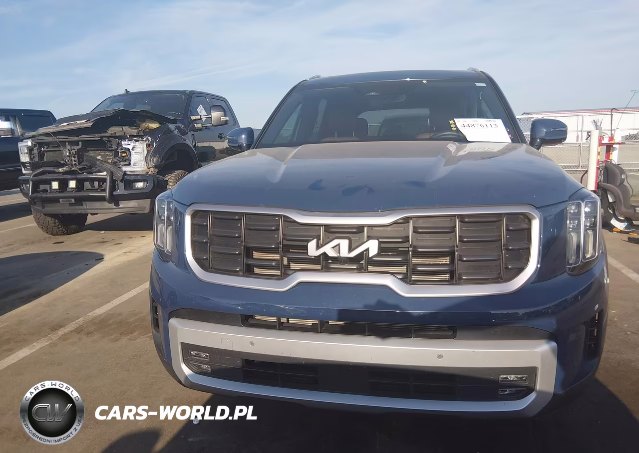 2024 Kia Telluride Sx VIN:5XYP5DGC9RG523578 - 12