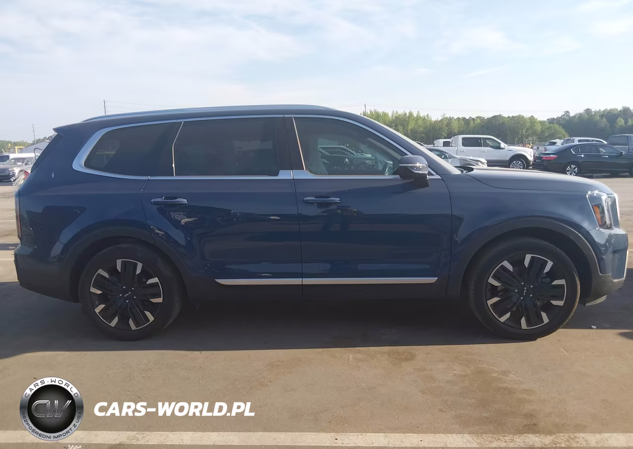 2024 Kia Telluride Sx VIN:5XYP5DGC9RG523578 - 13