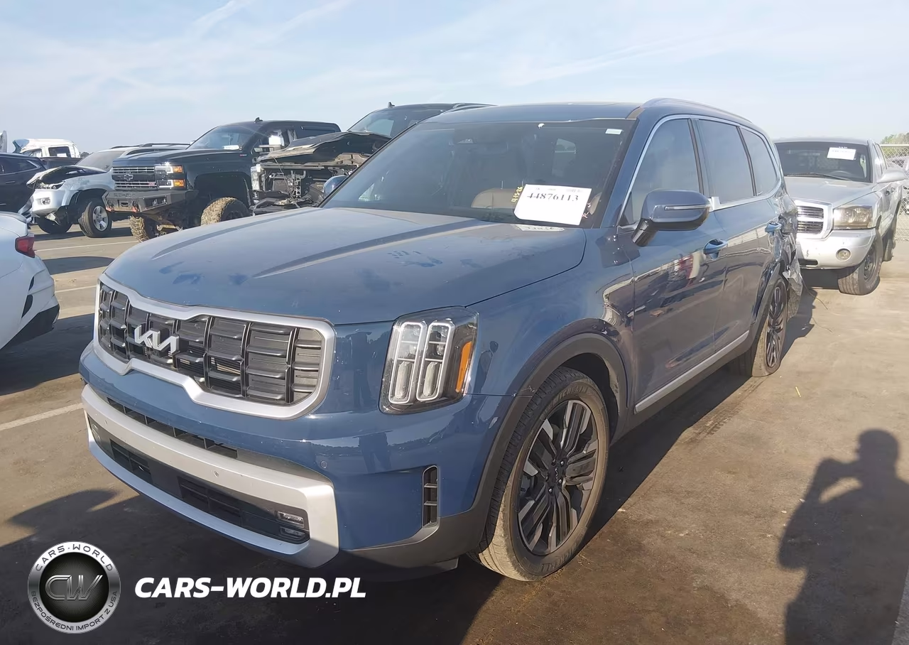 2024 Kia Telluride Sx VIN:5XYP5DGC9RG523578 - 2