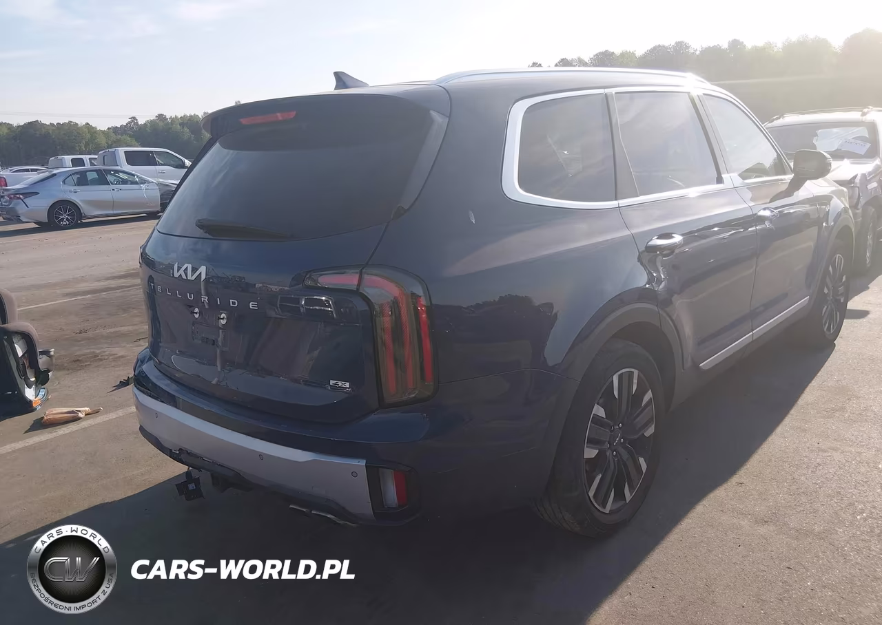 2024 Kia Telluride Sx VIN:5XYP5DGC9RG523578 - 4