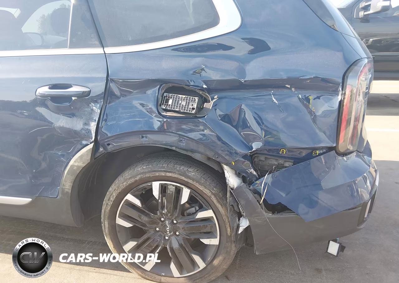 2024 Kia Telluride Sx VIN:5XYP5DGC9RG523578 - 6