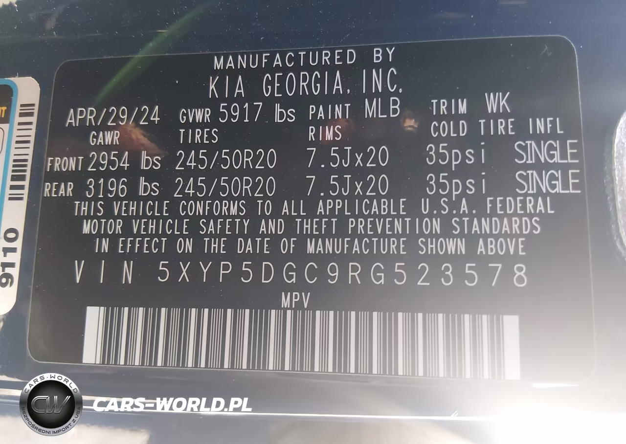 2024 Kia Telluride Sx VIN:5XYP5DGC9RG523578 - 9