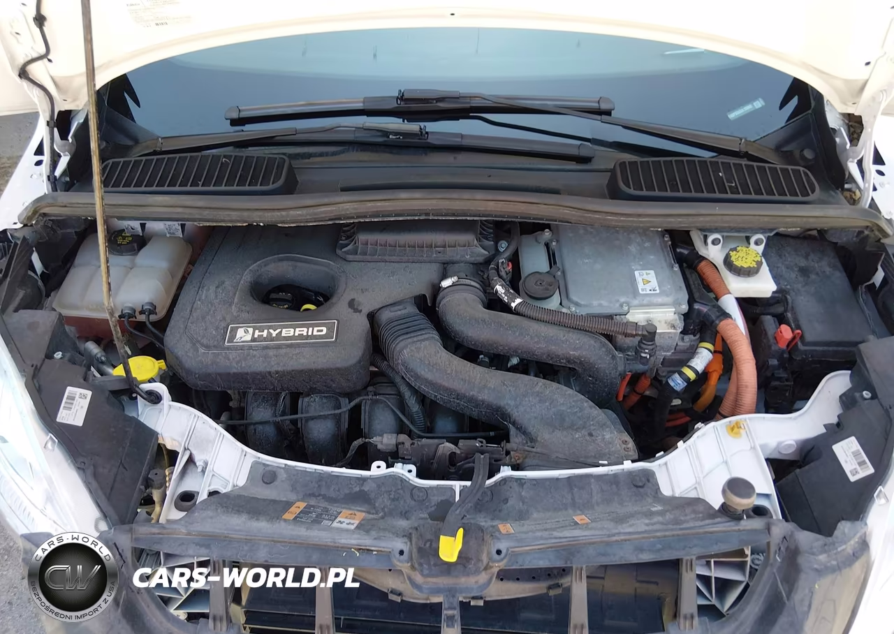 2018 Ford C-Max Hybrid Titanium VIN:1FADP5DU3JL100932 - 10
