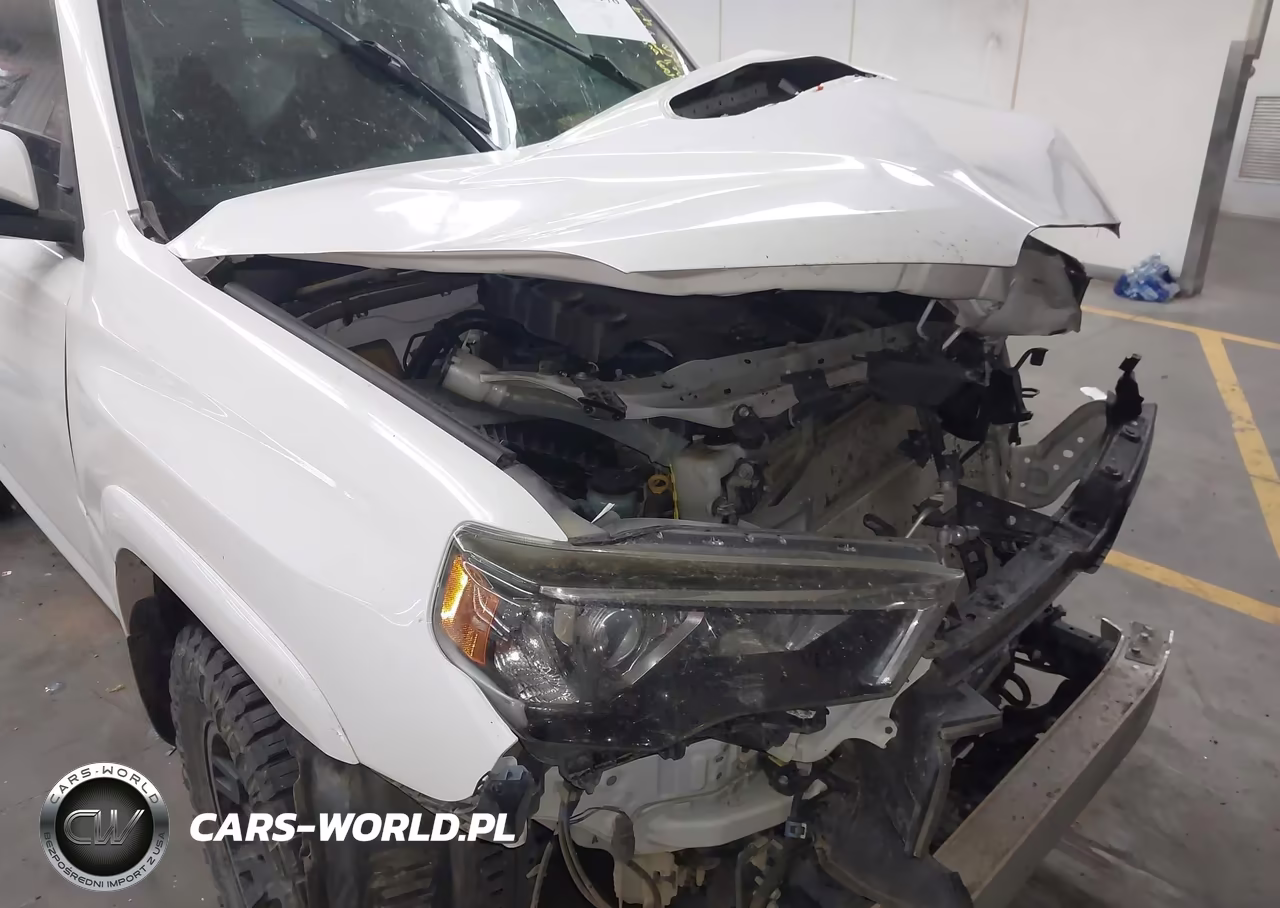 2019 Toyota 4Runner Trd Off Road Premium VIN:JTEBU5JR5K5636972 - 6