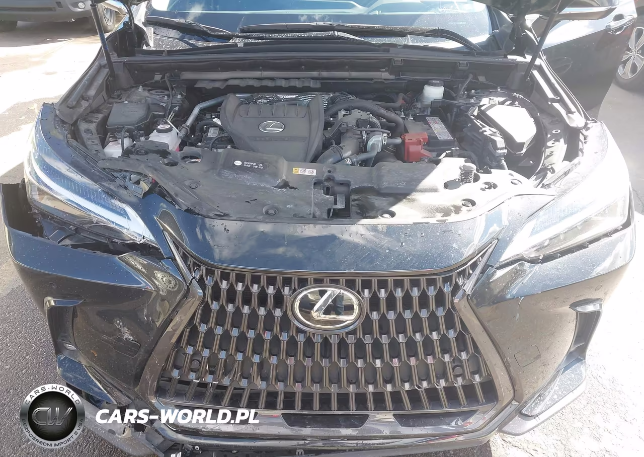 2024 Lexus Nx 350 Premium VIN:JTJGGCEZ0R2010397 - 10