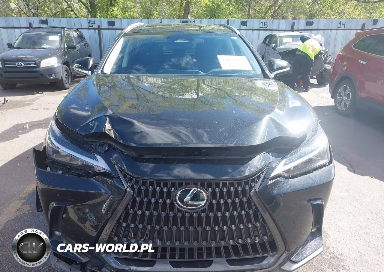 2024 Lexus Nx 350 Premium VIN:JTJGGCEZ0R2010397 - 12