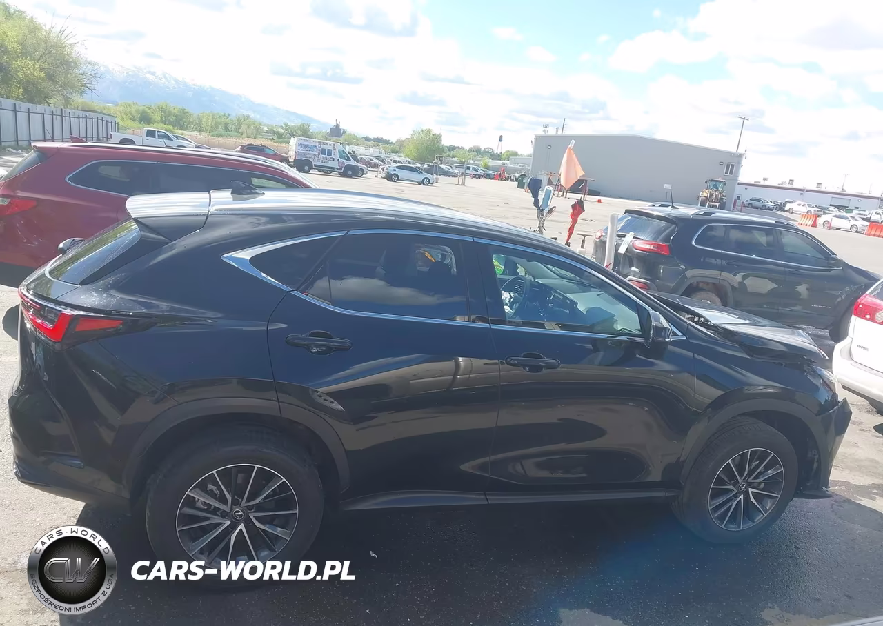 2024 Lexus Nx 350 Premium VIN:JTJGGCEZ0R2010397 - 13