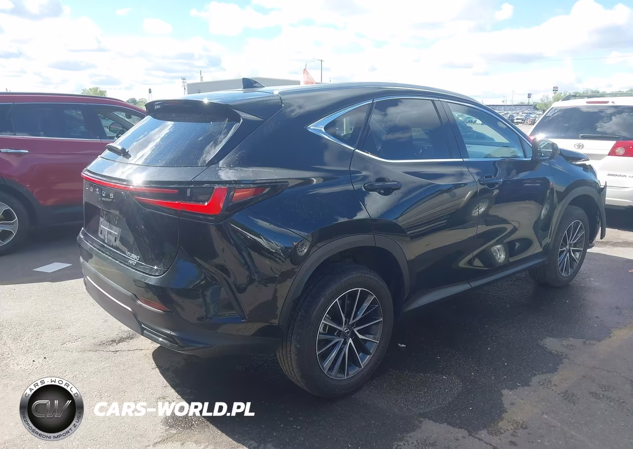 2024 Lexus Nx 350 Premium VIN:JTJGGCEZ0R2010397 - 4