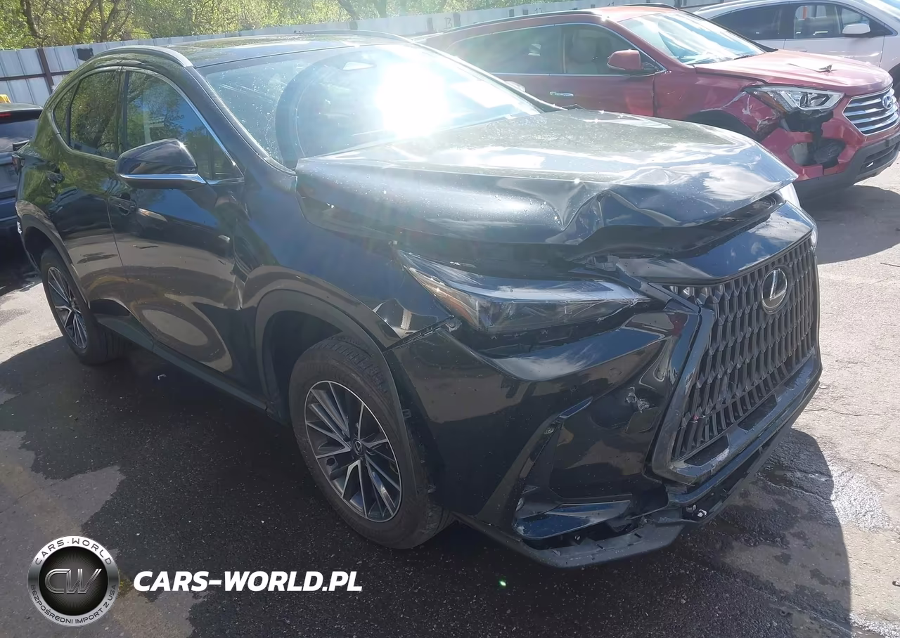 2024 Lexus Nx 350 Premium VIN:JTJGGCEZ0R2010397 - 6