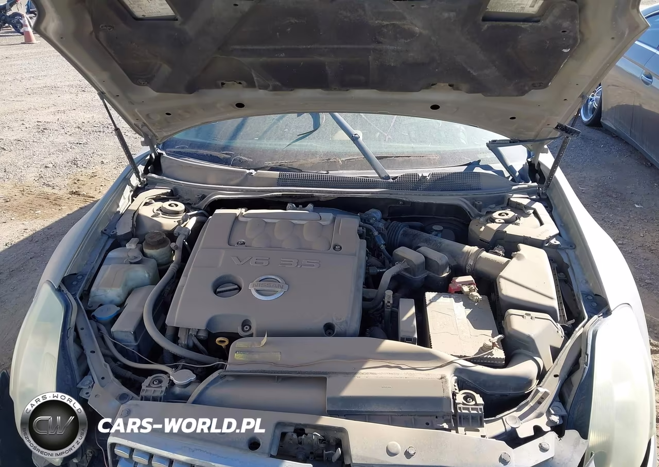 2004 Nissan Maxima 3.5 Se VIN:1N4BA41E24C930192 - 10