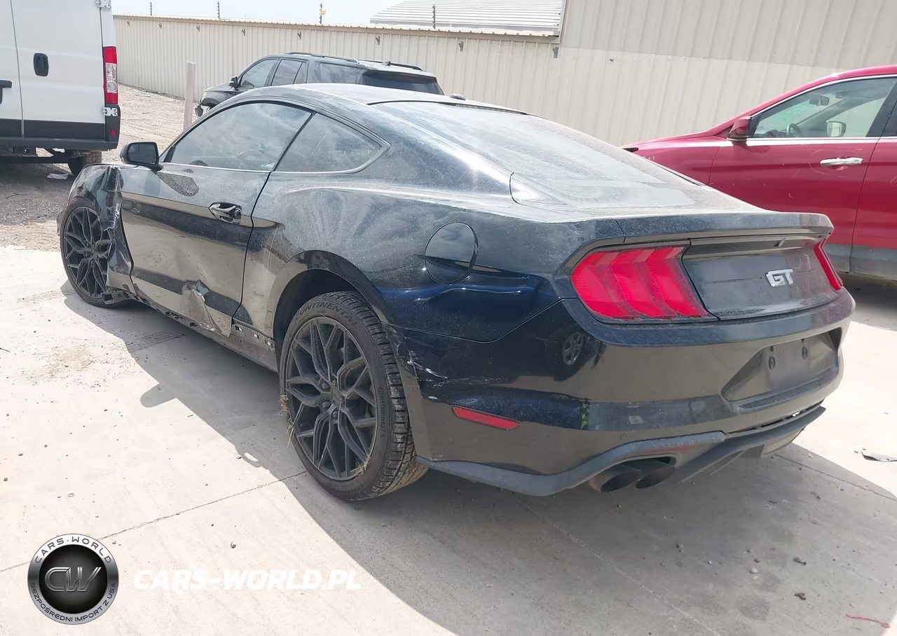 2020 Ford Mustang Gt Fastback VIN:1FA6P8CF5L5137923 - 3
