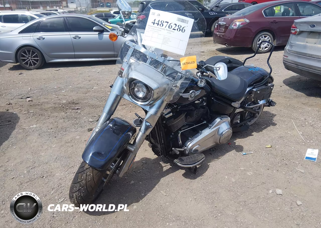 2019 Harley-Davidson Flfbs