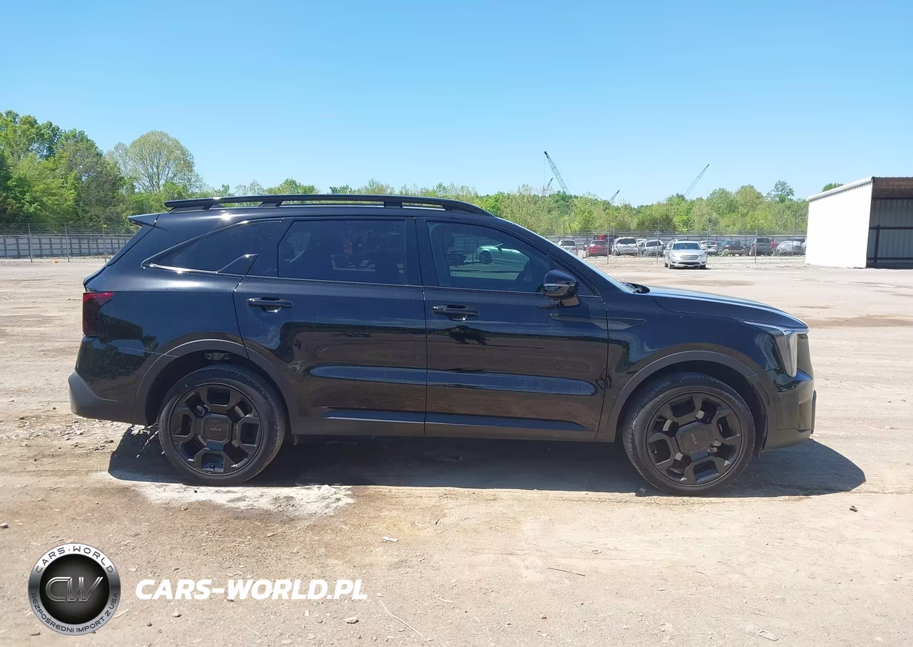 2025 Kia Sorento X-Line Ex VIN:5XYRHDJF2SG323988 - 13