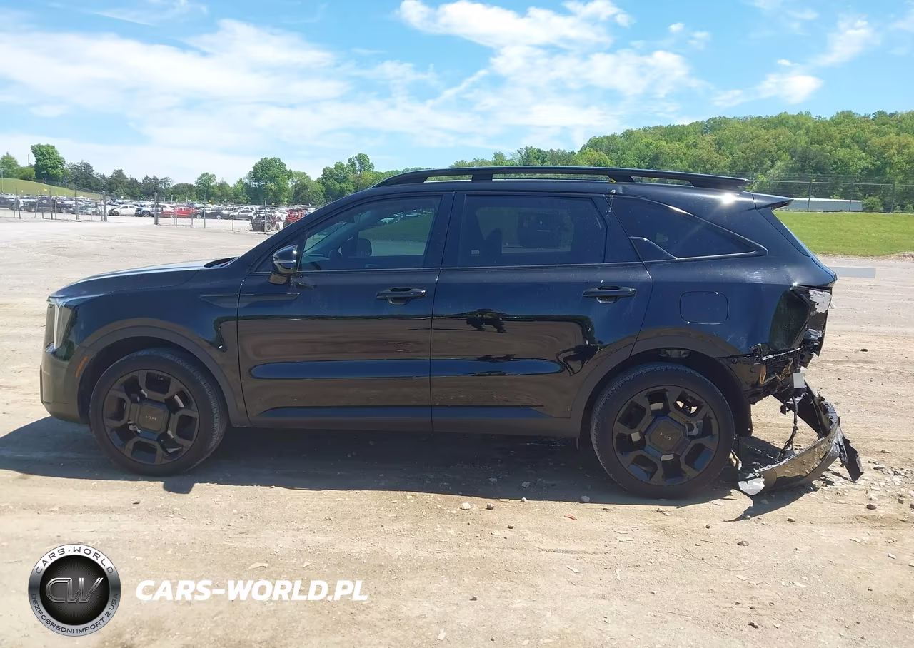 2025 Kia Sorento X-Line Ex VIN:5XYRHDJF2SG323988 - 14