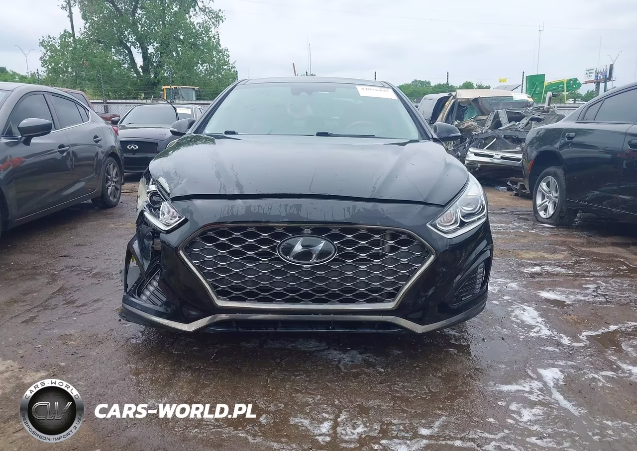 2019 Hyundai Sonata Limited VIN:5NPE34AF2KH771105 - 12
