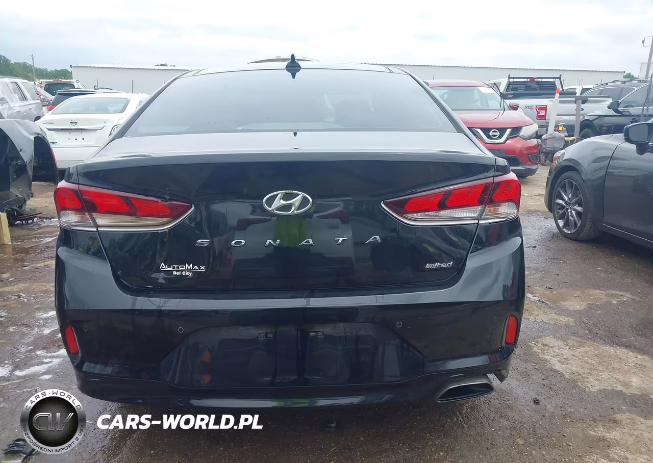 2019 Hyundai Sonata Limited VIN:5NPE34AF2KH771105 - 16