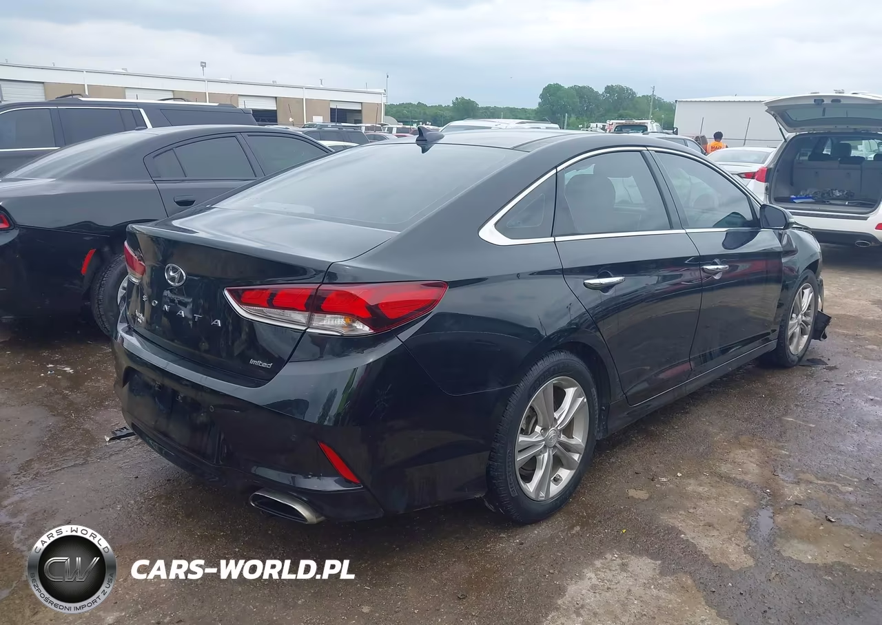 2019 Hyundai Sonata Limited VIN:5NPE34AF2KH771105 - 4