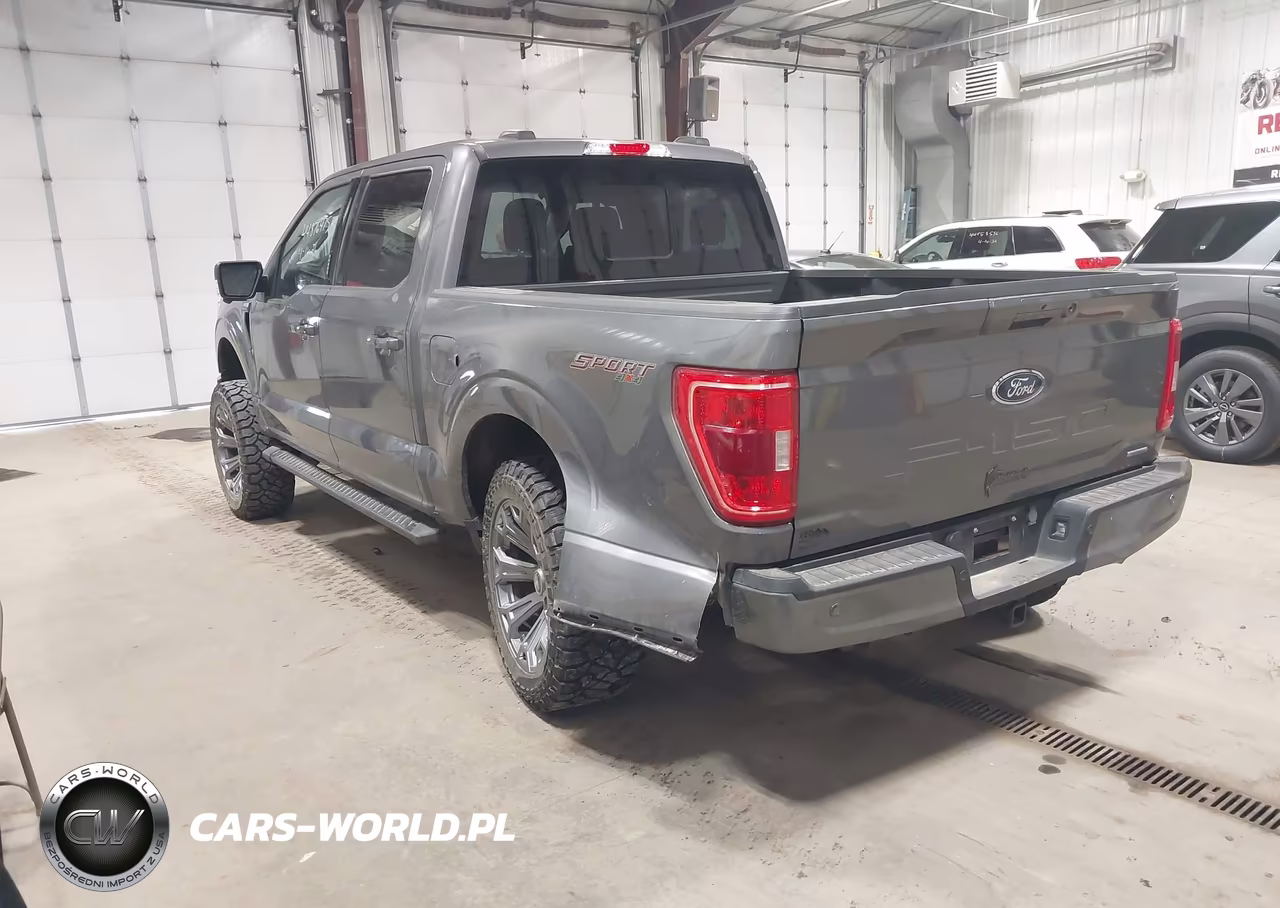 2023 Ford F-150 Xlt VIN:1FTFW1E81PKE39672 - 3