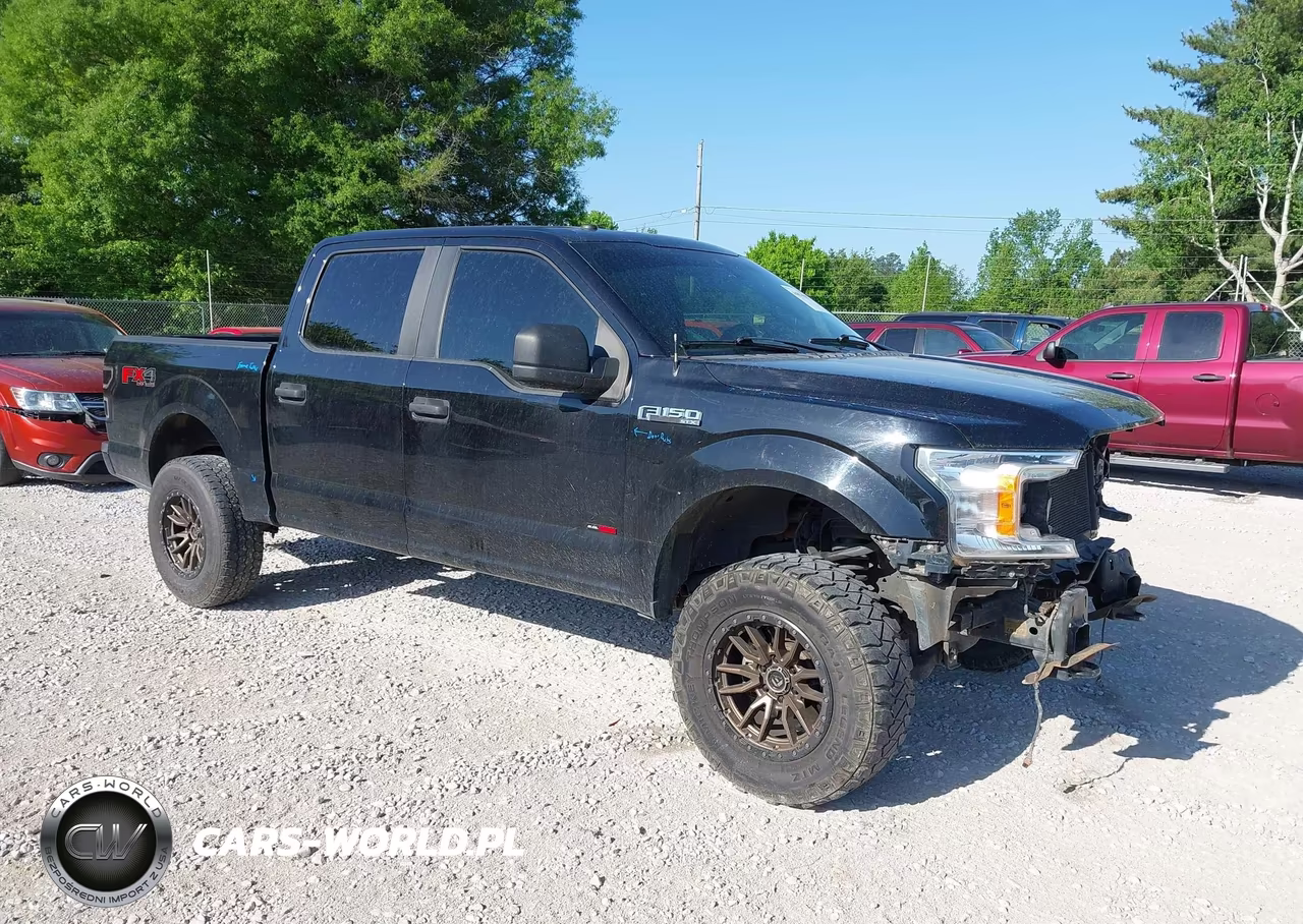 2019 Ford F-150 Xl – zdjęcie 1 z 16