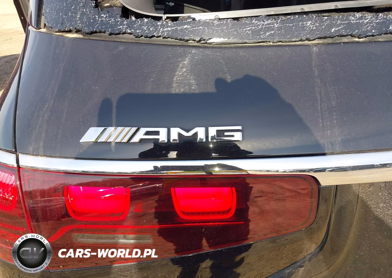 2024 Mercedes-Benz Amg Gls 63 4Matic VIN:4JGFF8KE7RB105244 - 17