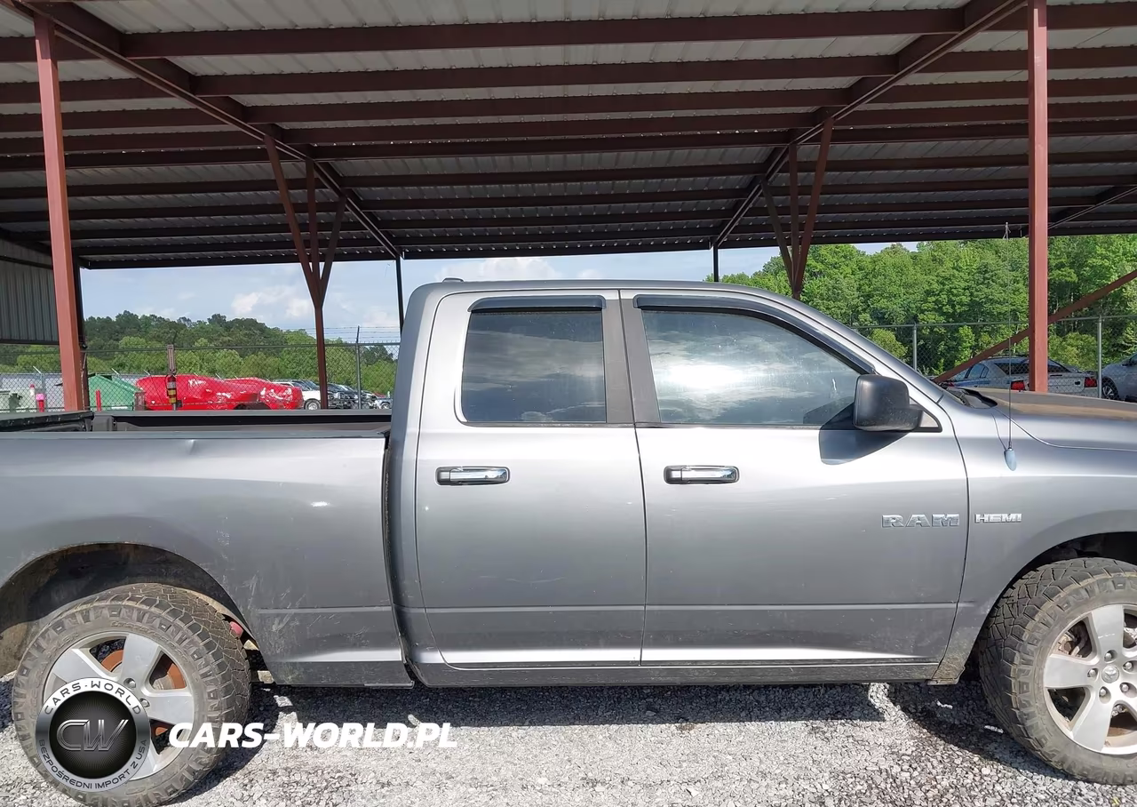2010 Dodge Ram 1500 Slt-Sport-Trx VIN:1D7RV1GT3AS110101 - 13