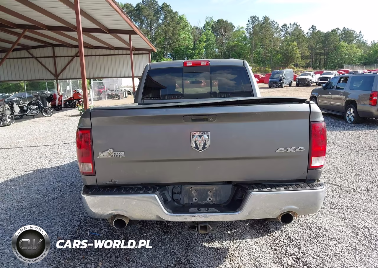 2010 Dodge Ram 1500 Slt-Sport-Trx VIN:1D7RV1GT3AS110101 - 16