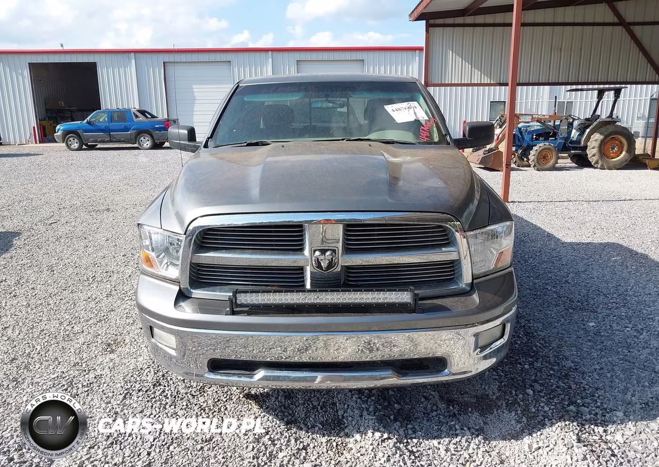 2010 Dodge Ram 1500 Slt-Sport-Trx VIN:1D7RV1GT3AS110101 - 6