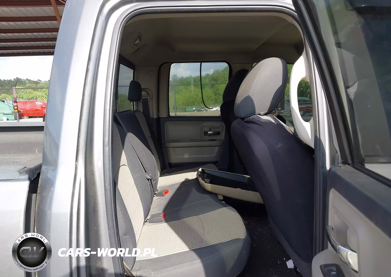 2010 Dodge Ram 1500 Slt-Sport-Trx VIN:1D7RV1GT3AS110101 - 8
