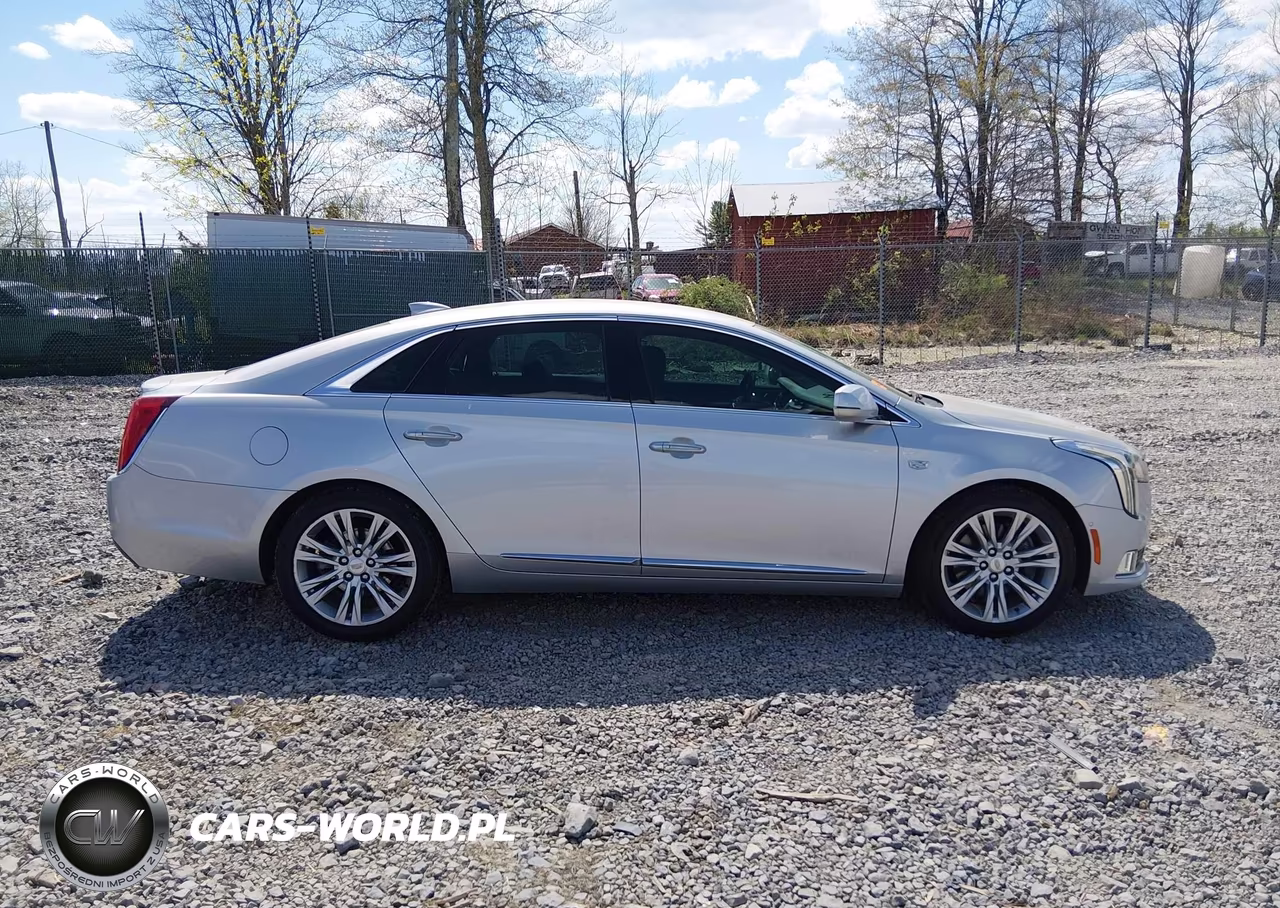 2019 Cadillac Xts Luxury VIN:2G61M5S37K9114649 - 13