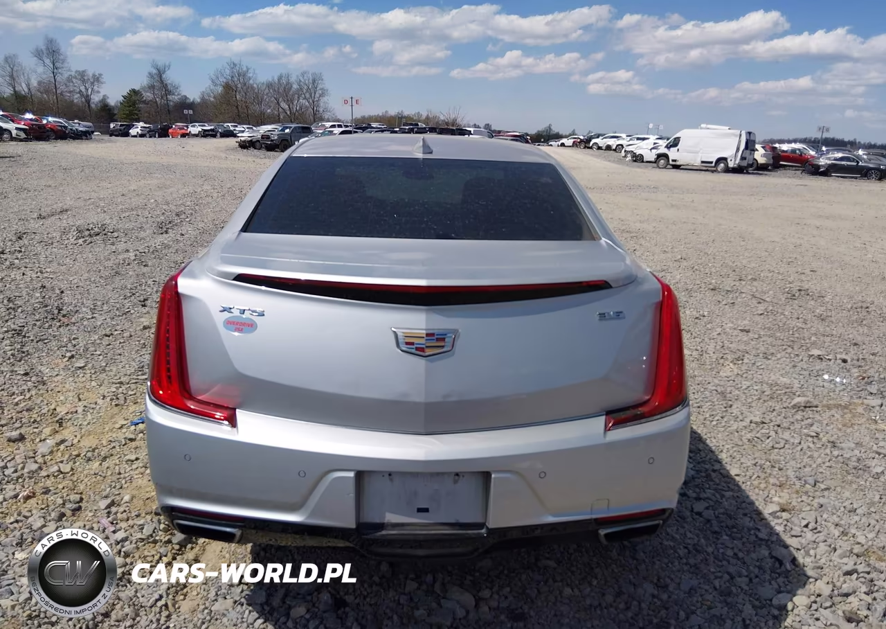 2019 Cadillac Xts Luxury VIN:2G61M5S37K9114649 - 16