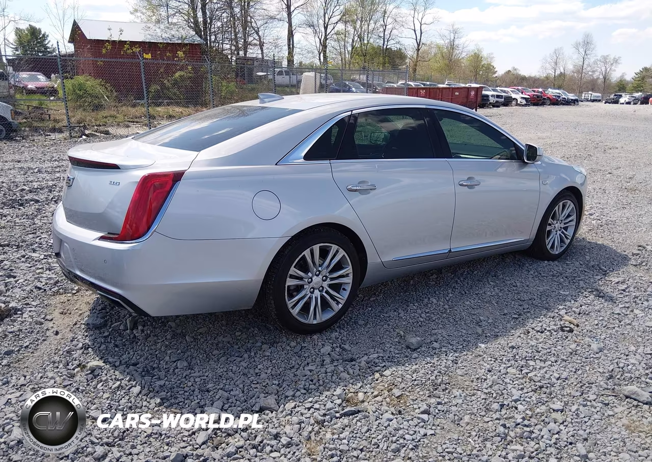 2019 Cadillac Xts Luxury VIN:2G61M5S37K9114649 - 4