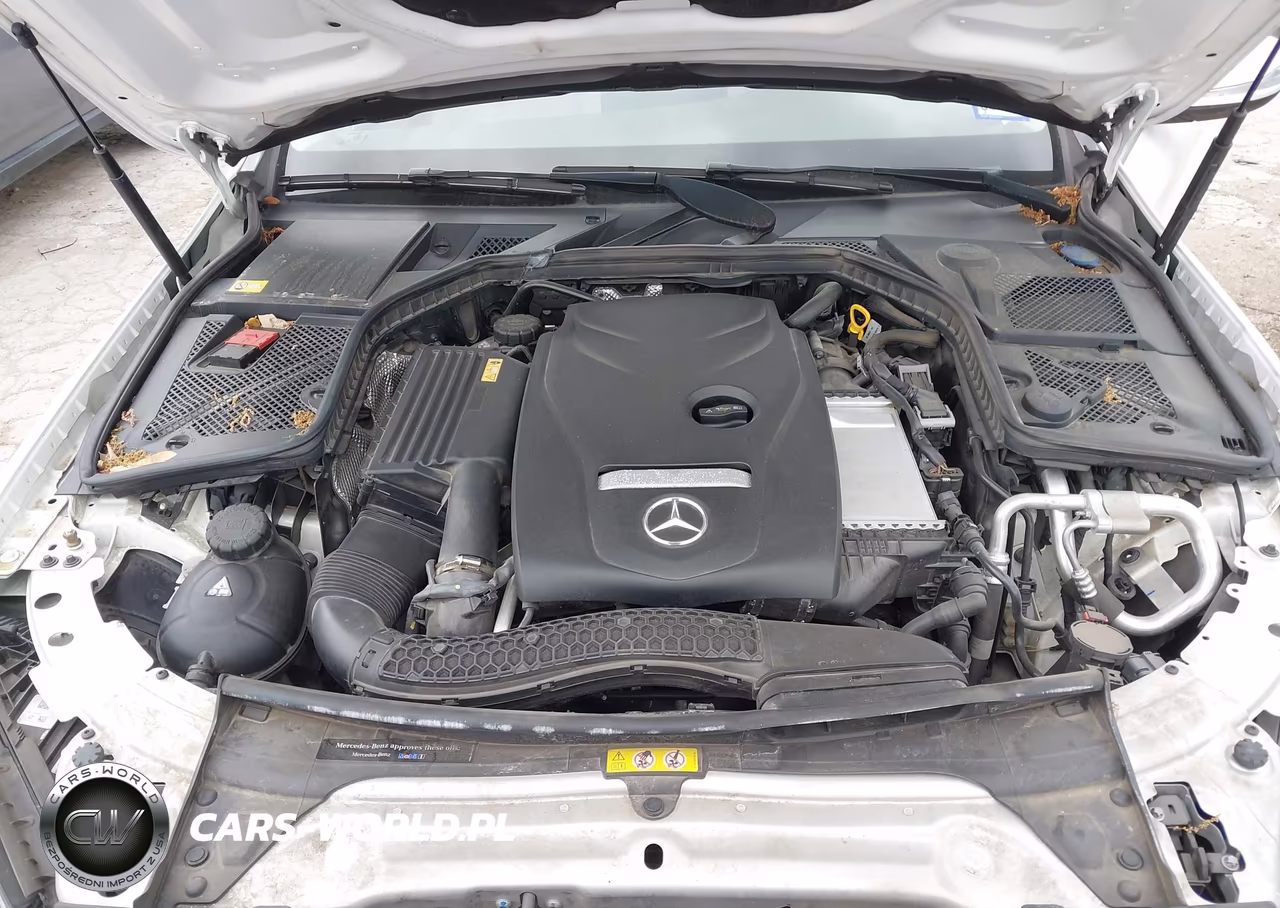 2015 Mercedes-Benz C 300 Luxury VIN:55SWF4JB4FU094845 - 10