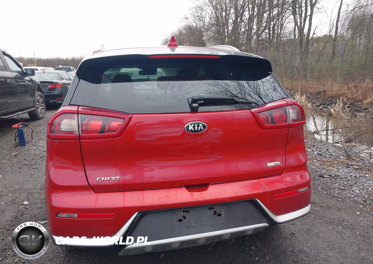 2019 Kia Niro Lx VIN:KNDCB3LC0K5316373 - 16