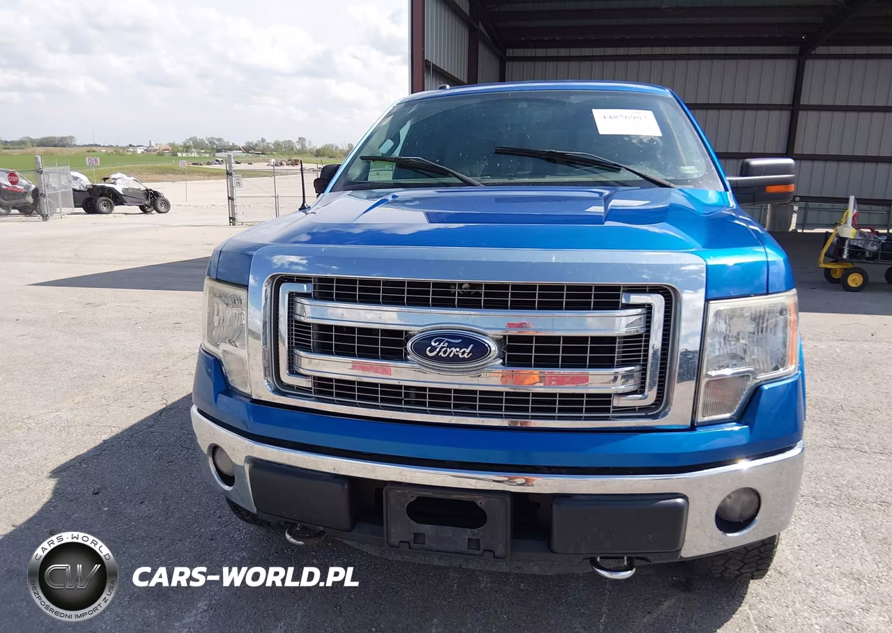 2013 Ford F-150 Xlt VIN:1FTFW1EF0DKF41975 - 13