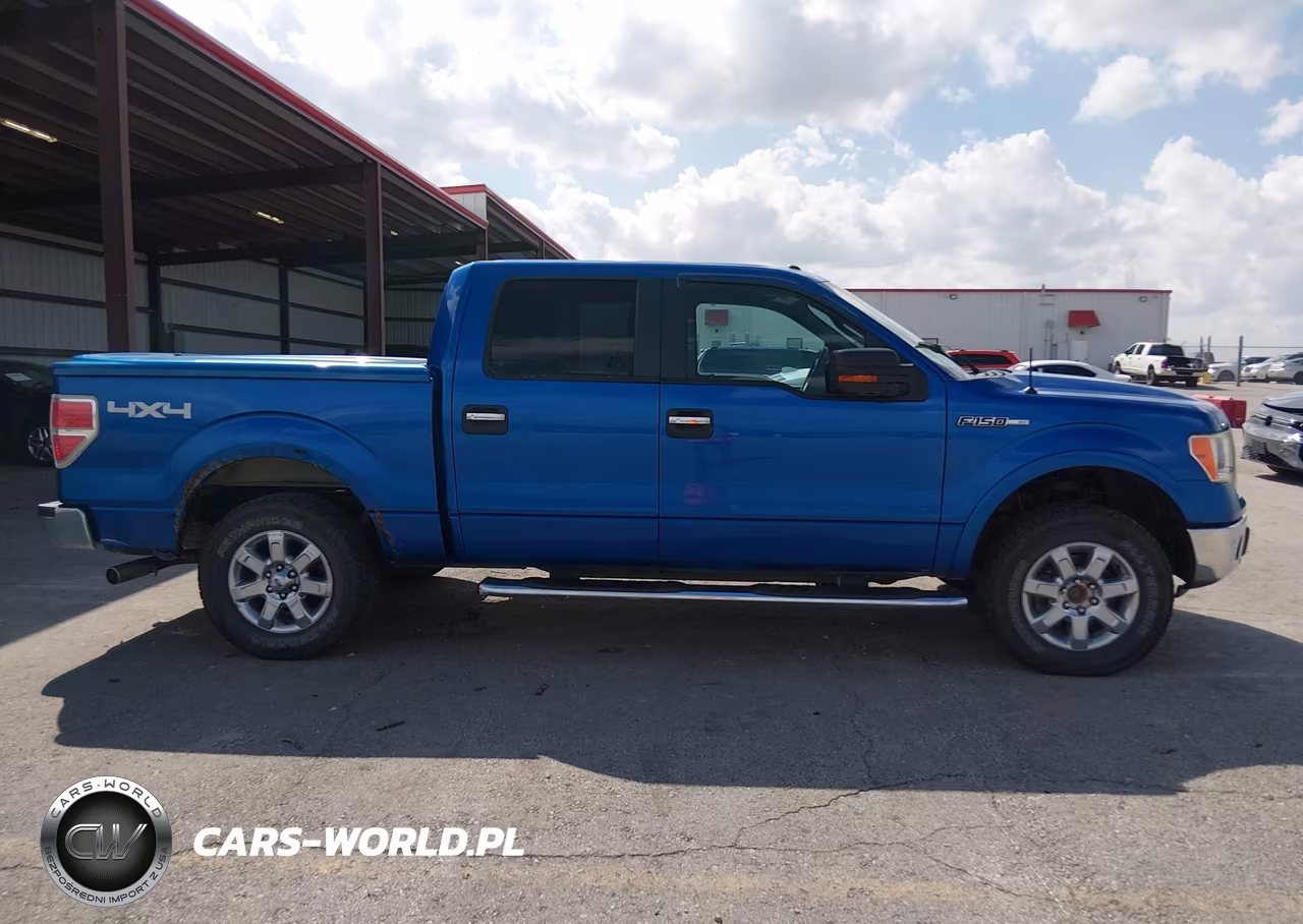 2013 Ford F-150 Xlt VIN:1FTFW1EF0DKF41975 - 14