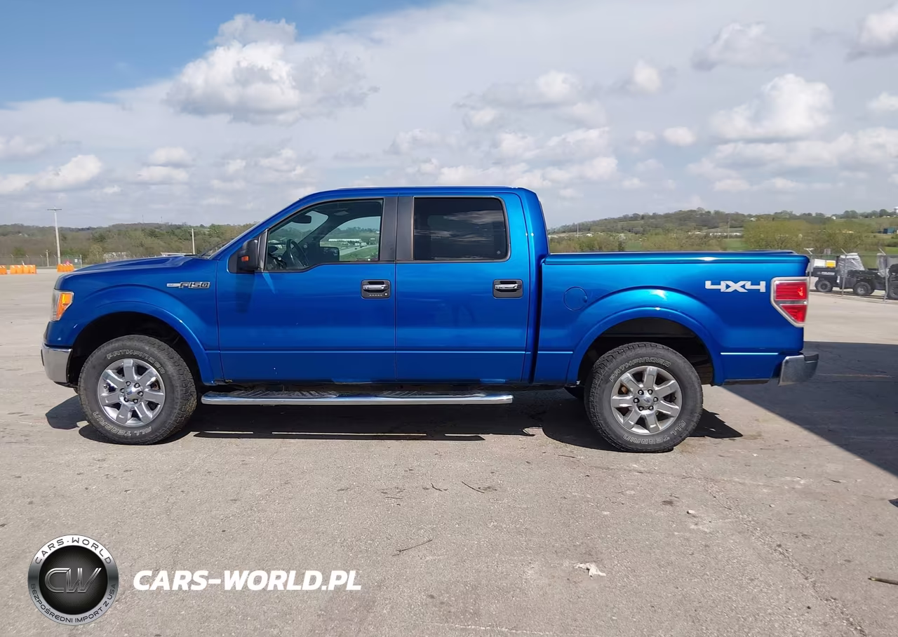 2013 Ford F-150 Xlt VIN:1FTFW1EF0DKF41975 - 15