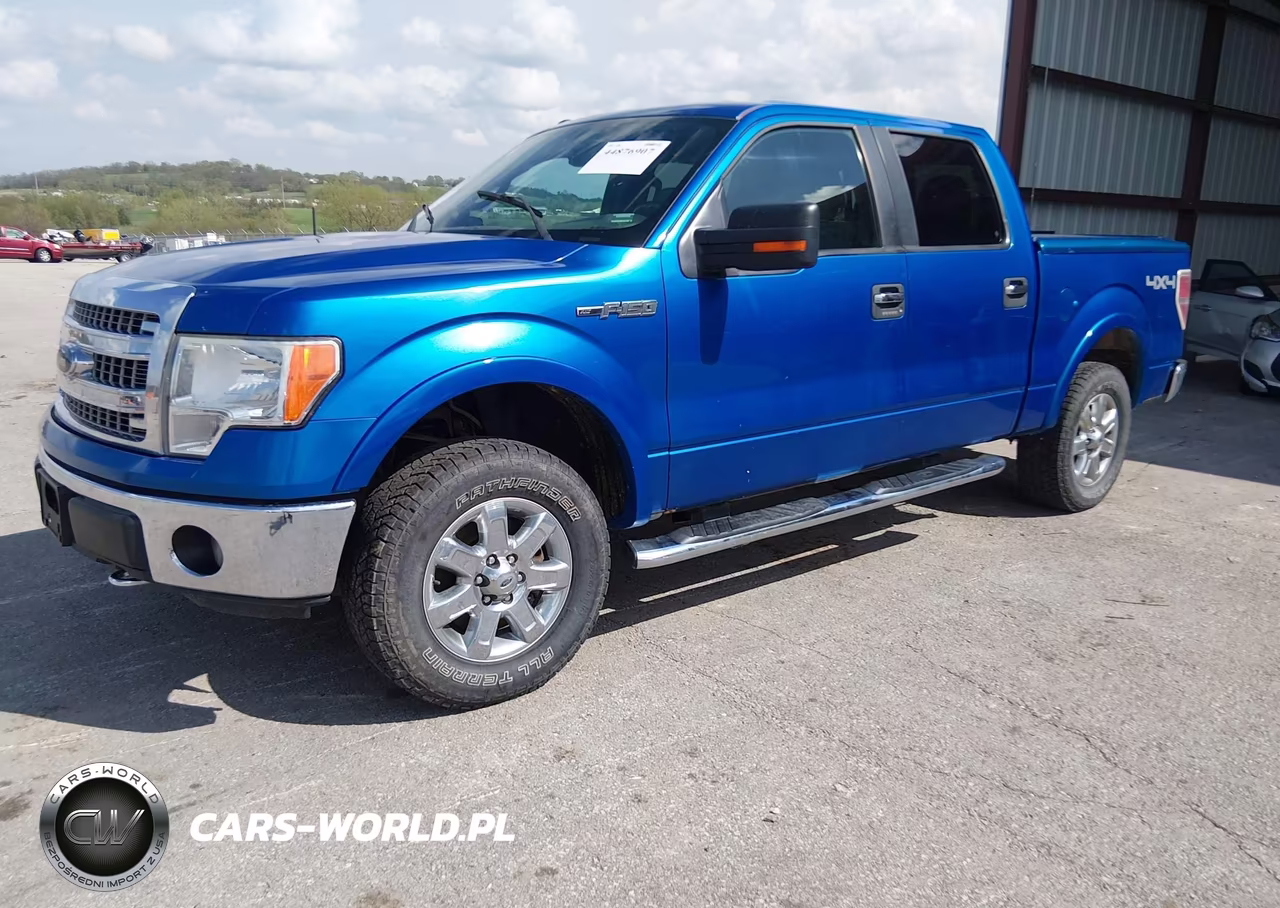 2013 Ford F-150 Xlt VIN:1FTFW1EF0DKF41975 - 2