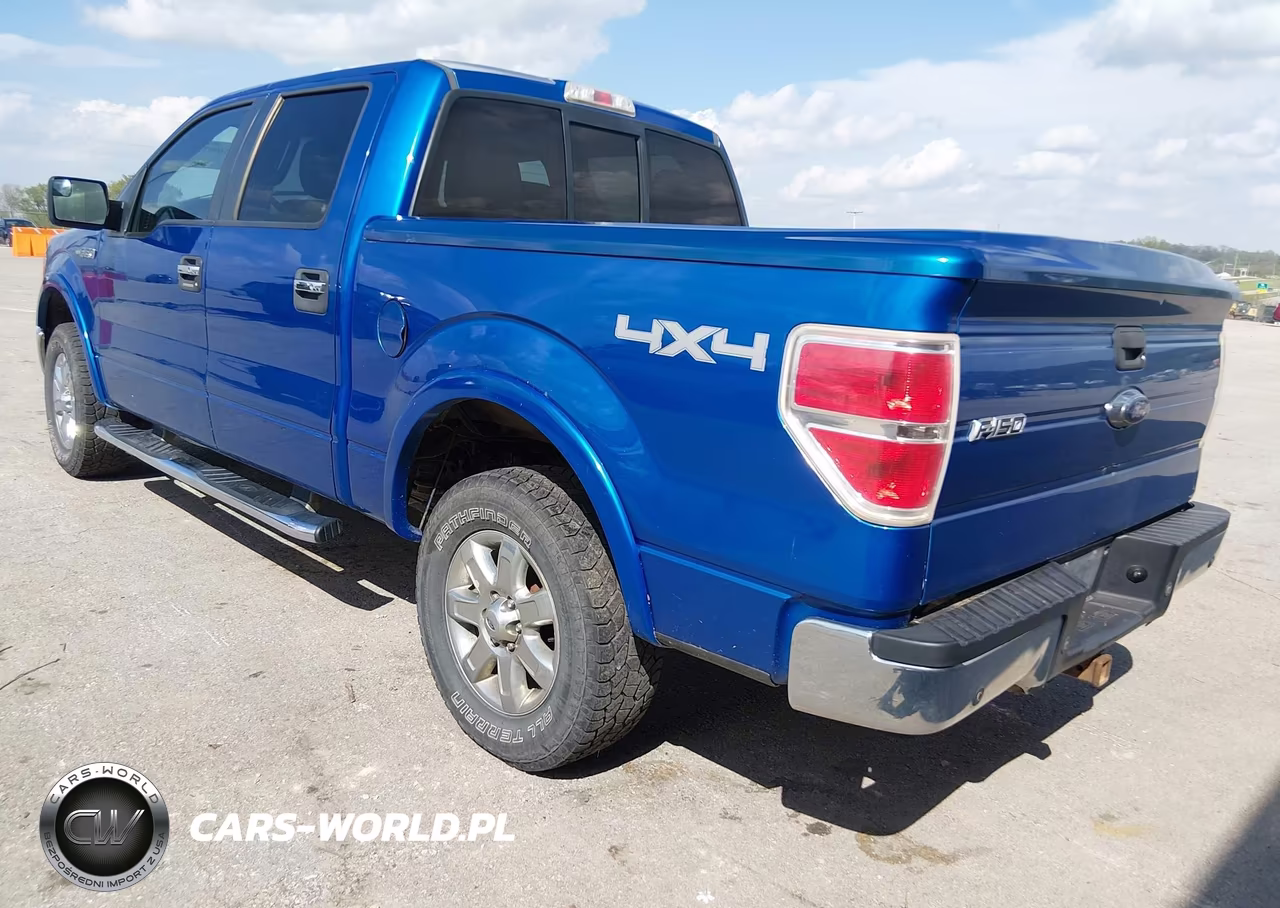 2013 Ford F-150 Xlt VIN:1FTFW1EF0DKF41975 - 3