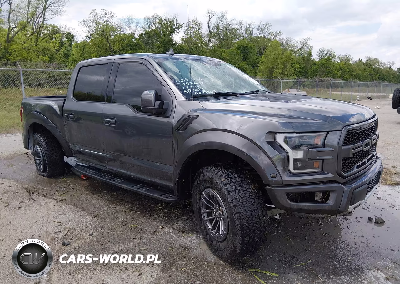 2019 Ford F-150 Raptor – zdjęcie 1 z 16